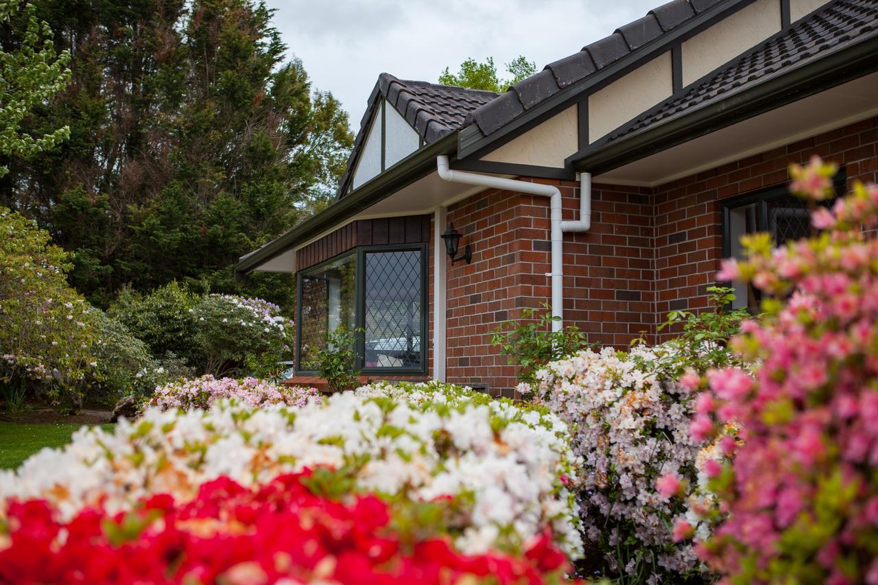 Clover Downs Homestead Rotorua Buitenkant foto